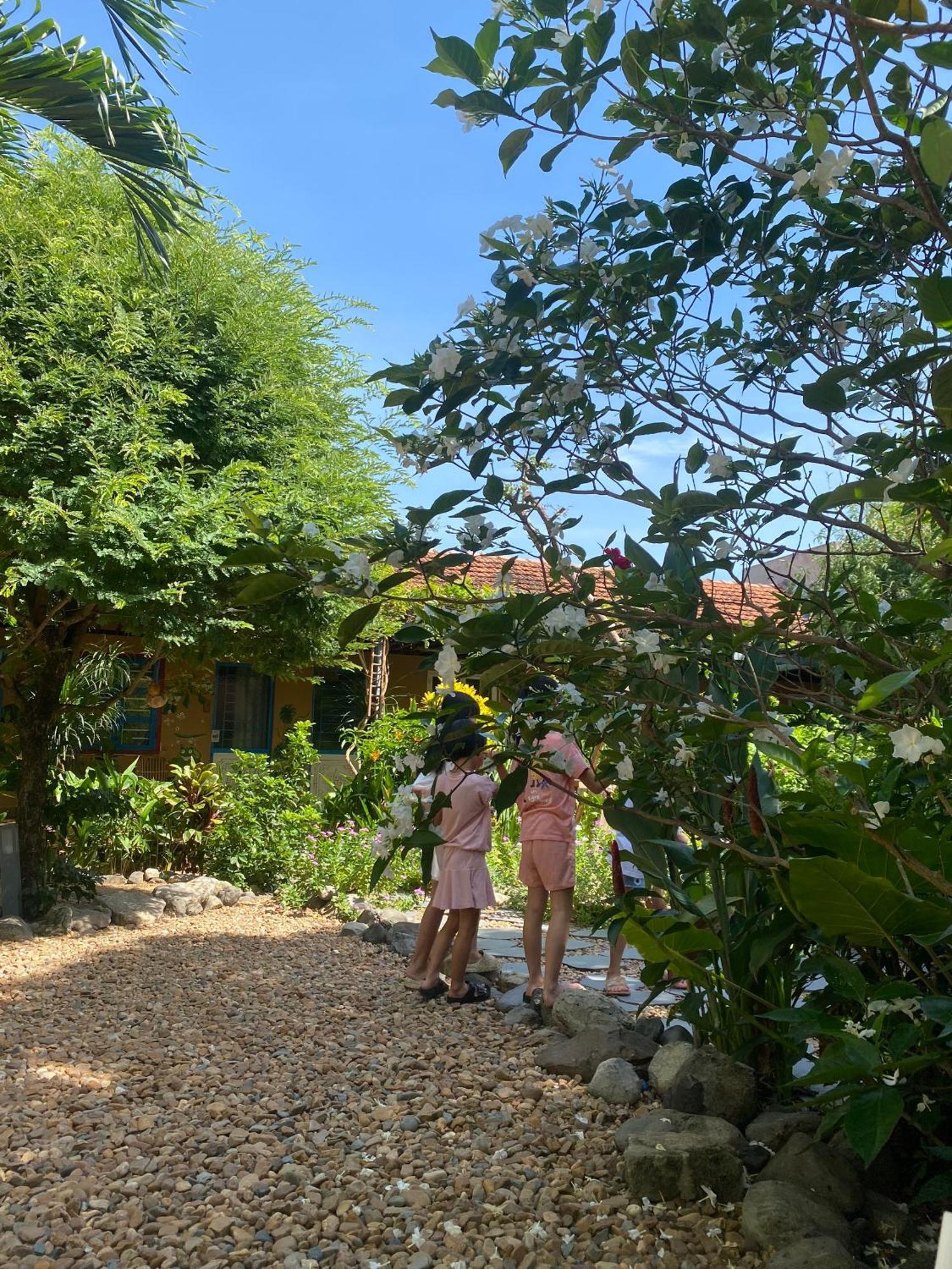 Yellow Farm Homestay Dong Tac Extérieur photo