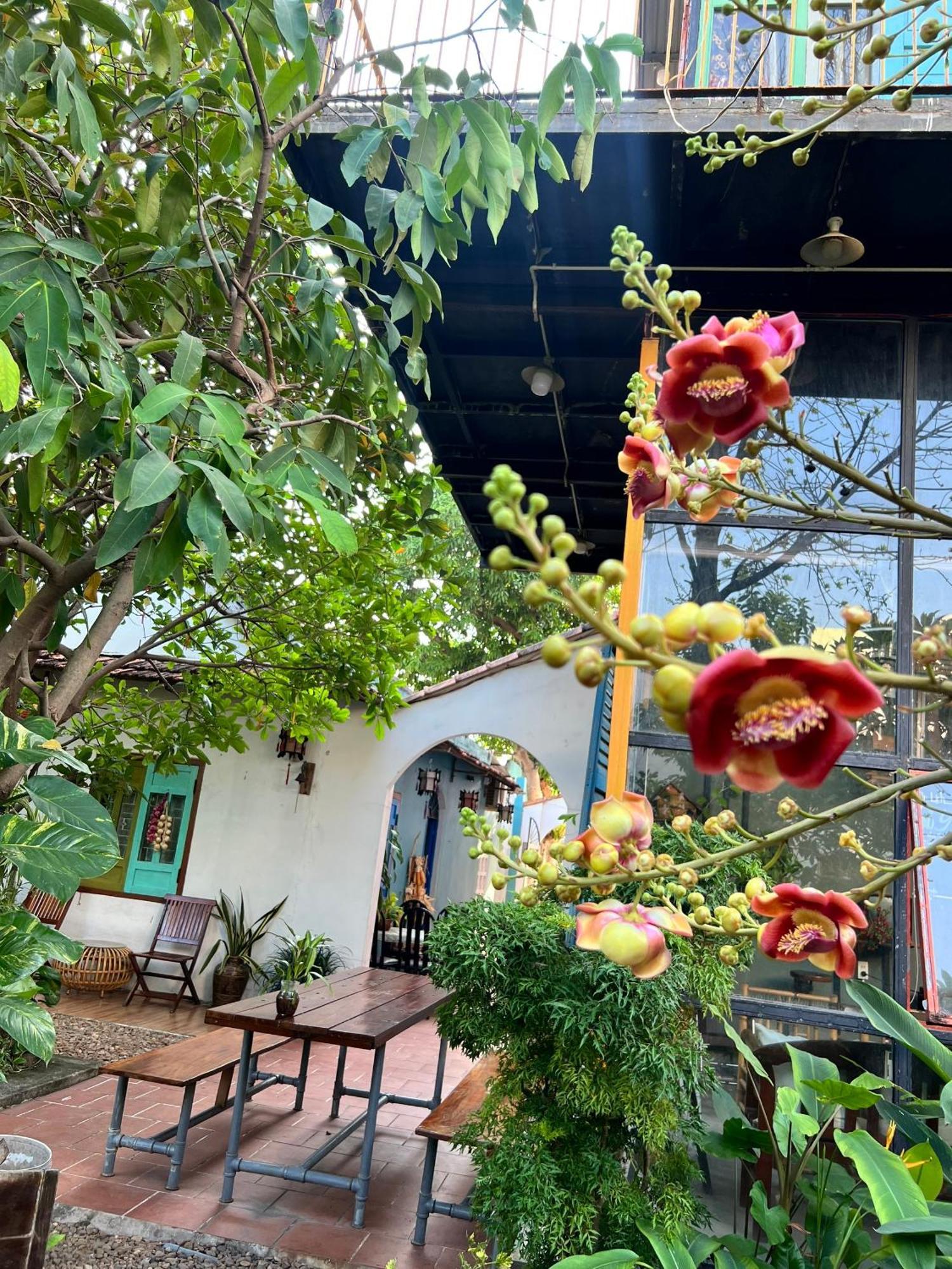 Yellow Farm Homestay Dong Tac Extérieur photo